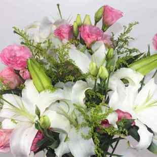 白色香水百合鲜花伯利亚水养送礼供奉云南斗南鲜花基地新鲜直发