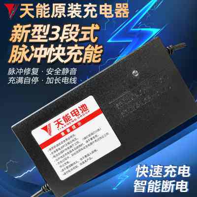 天能电池原装原厂36v48v60v72v铅酸电瓶电动车正品充电器