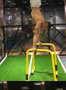 WRGD多功能室内单双杠 家用引体向上分体式双杠俯卧撑支架包邮