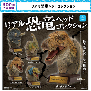 现货日本Qualia 恐龙头部收藏摆件 逼真霸王龙三角龙桌面玩具扭蛋
