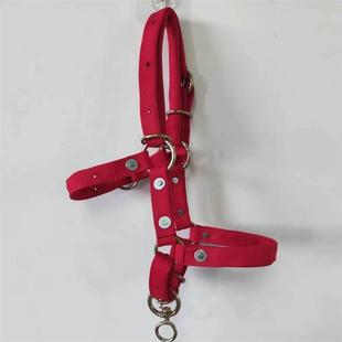 羊眼睛圈套防脱羊笼头,羊龙套,大小可以调节,纯钢圈羊笼头,铁圈羊