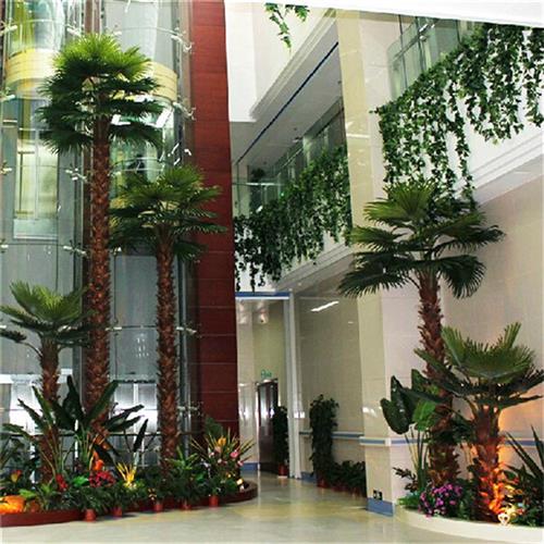 大型棕榈树人造塑料工程树扇葵树园林景观庭院装饰树树盆栽