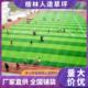 厂家供应中小学足球场仿真人造草坪可铺装 五人制人工假草皮施工