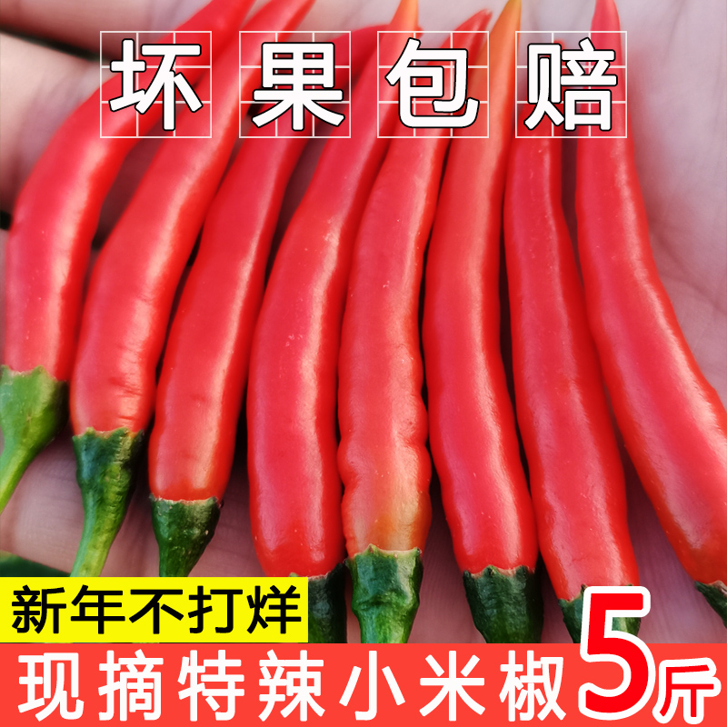 小米辣椒新鲜特辣10斤批发蔬菜现摘朝天椒5指天椒农家自种小米辣