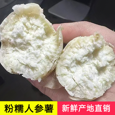 白皮牛奶人参薯广东粉糯白心白薯