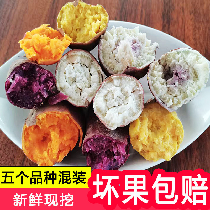 冰淇淋红薯爆皮王番薯鸡蛋黄地瓜紫薯西瓜红蜜薯板栗薯一点红山芋