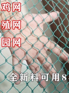 塑料网拦家禽网栏养鸡网天网鸟网罩果树园围鸡网户外尼龙线兔子网
