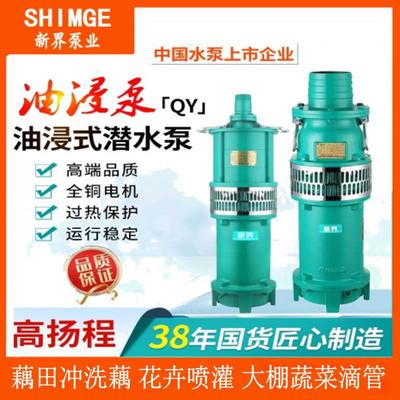 新界新界泵业QY系列100