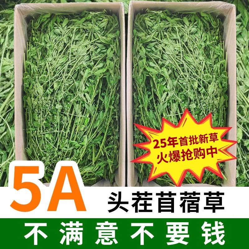 烘干苜蓿草干草兔子新草龙猫荷兰猪幼兔食用干牧草紫花粮草苜宿草