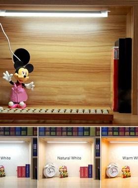 35cm LED Lamp Strip USB Bookcase Cabinet Lamp Reading Light