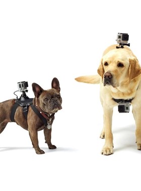 PULUZ Hound Dog Fetch Harness Adjustable Chest Strap Mount