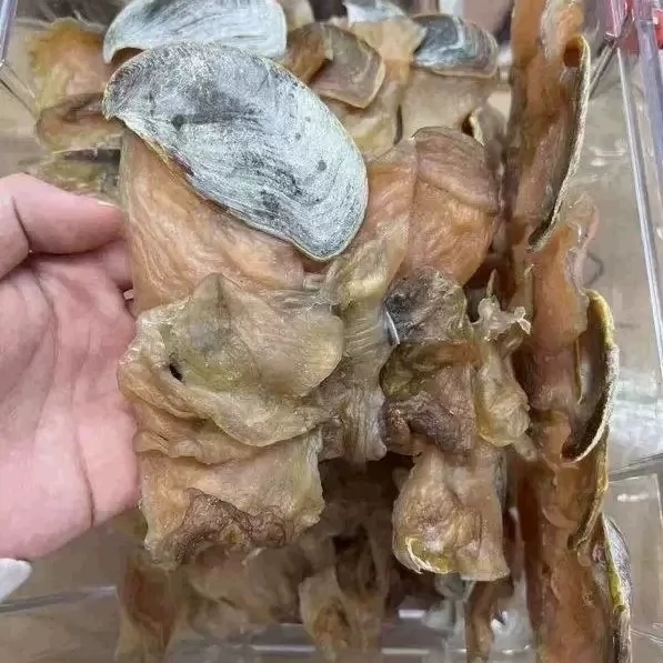 鲍鱼螺肉海螺香螺干货海产品煲汤料包邮250g原只红螺7-10只一斤