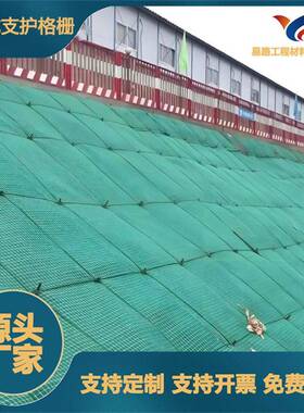厂家定制加工支护格栅护坡装配式复合格栅GRF绿色基坑装配式护坡