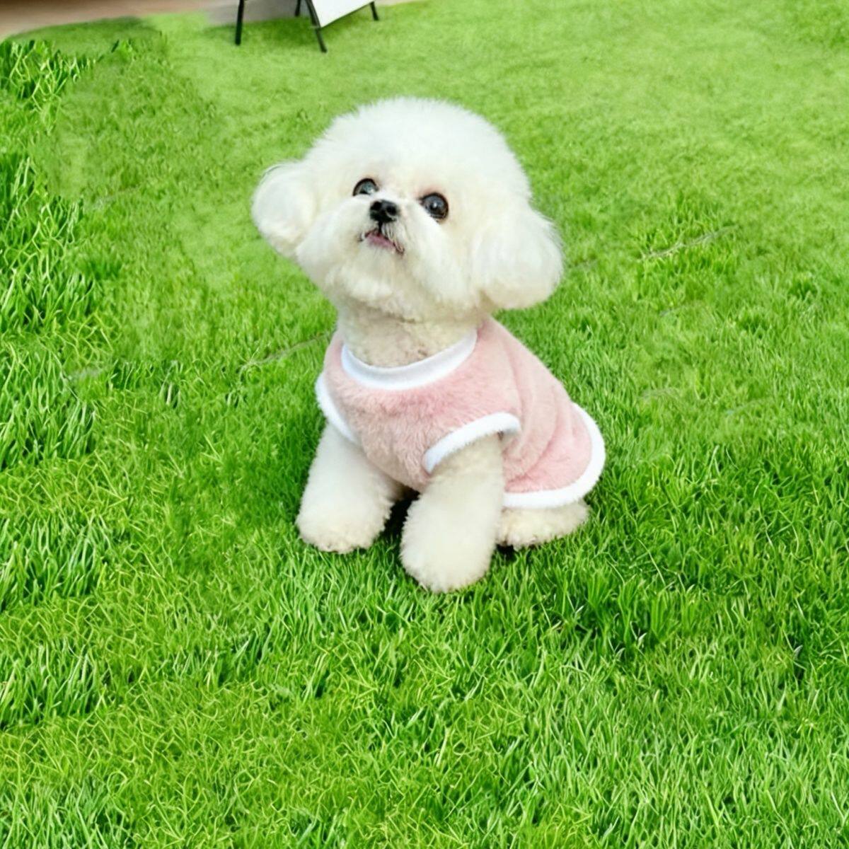 春季宠物衣服加绒加厚保