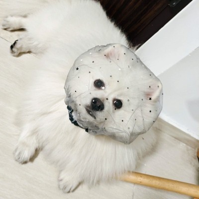 【妈妈再也不用担心我偷吃了】遛狗狗防误食乱偷吃透气网纱头嘴套