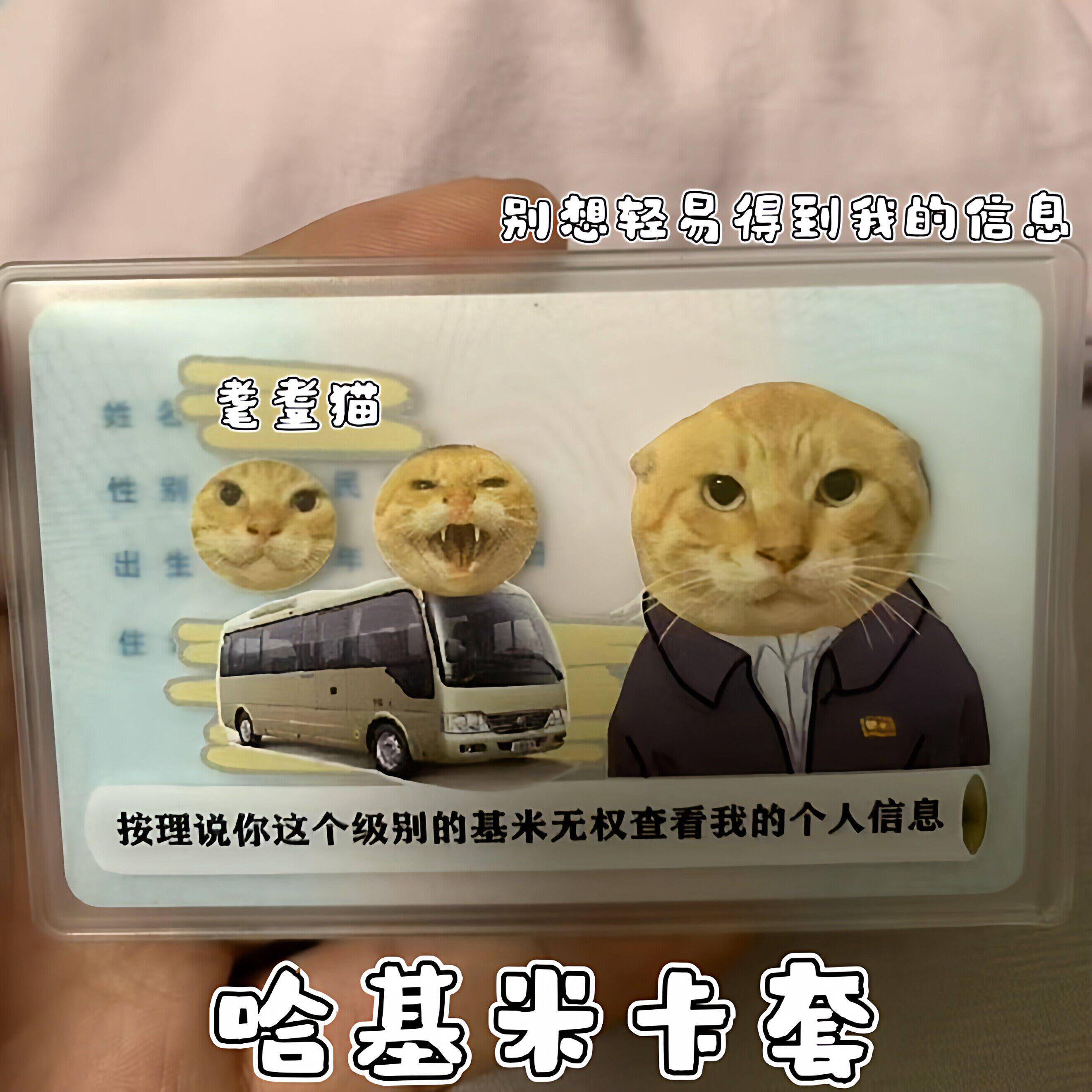 哈基米卡套耄耋猫猫创意PVC身份证保护套隐私保护卡通防消磁卡套