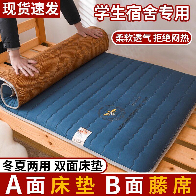 夏季大豆凉席床垫子软垫宿舍学生单人薄款家用冬夏两用榻榻米折叠