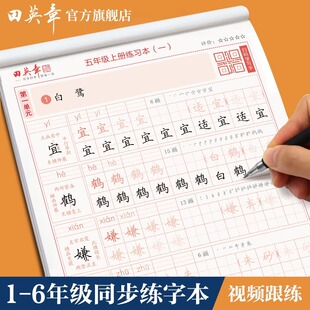 田英章楷书小学生语文同步字帖写字课课练一二三年级上册下册练字帖硬笔描红123456年级硬笔字帖写字描红本