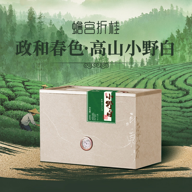 【2026头春茶】蟾宫折桂白茶花香贡眉老树高山小野白茶叶