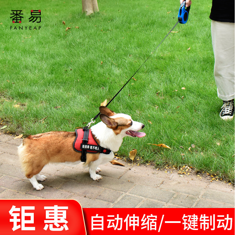 包邮/牵引绳A1v-番易猫自动伸缩遛狗绳猫咪泰迪博美柯