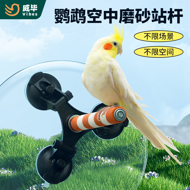 鹦鹉空中站架磨砂站杆磨爪棒吸盘站棍磨牙玄凤牡丹鸟用品玩具