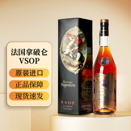 法国进口VSOP白兰地洋酒