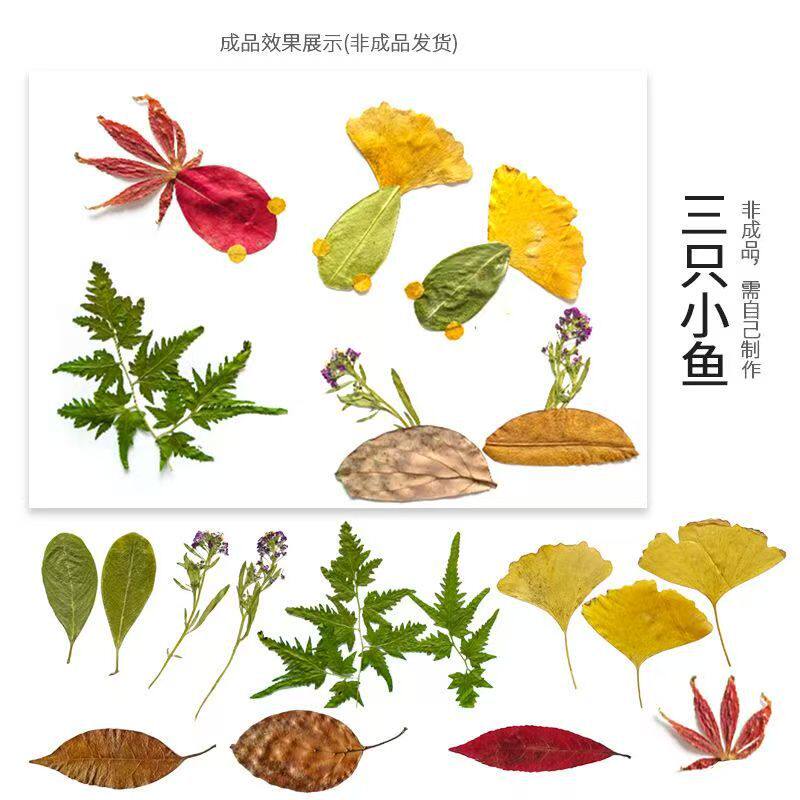 树叶粘贴画手工创意儿童益智