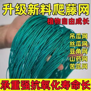 爬藤网植物攀爬网黄瓜冬瓜吊瓜丝瓜葡萄网搭架花卉攀援网大棚网