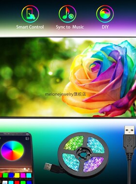 RGB Led Strip Light 5050D 3M ape Bluetooth APP Control  PC L