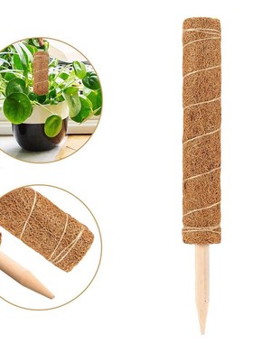 80/70/60/50CM Plant Support Coir Moss Totem Pole Coconut St