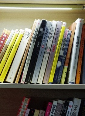 35cm LED Lamp With USB Bookcase Lamp Three Colors With Swit