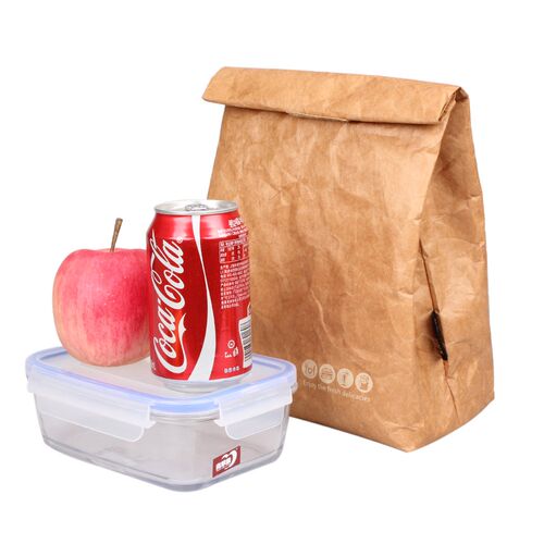 6L Ice pack kraft paper bag Reusable Box Sack Durable Insula