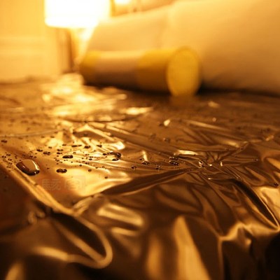 Waterproof  Bed Sheets S-e-x PVC Vinyl Mattress Cover Allerg