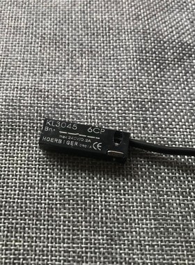 rodless cylinder   magnetic switch  KL3045  (a cylinder use