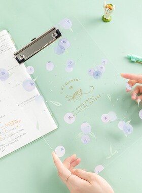 Small fresh fruit pattern acrylic board clip transparent ho