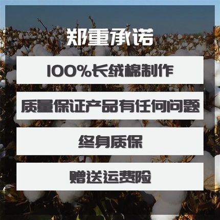 新疆长绒棉子棉被棉絮四季夏凉棉纯D被花被花加厚保暖被芯垫被冬