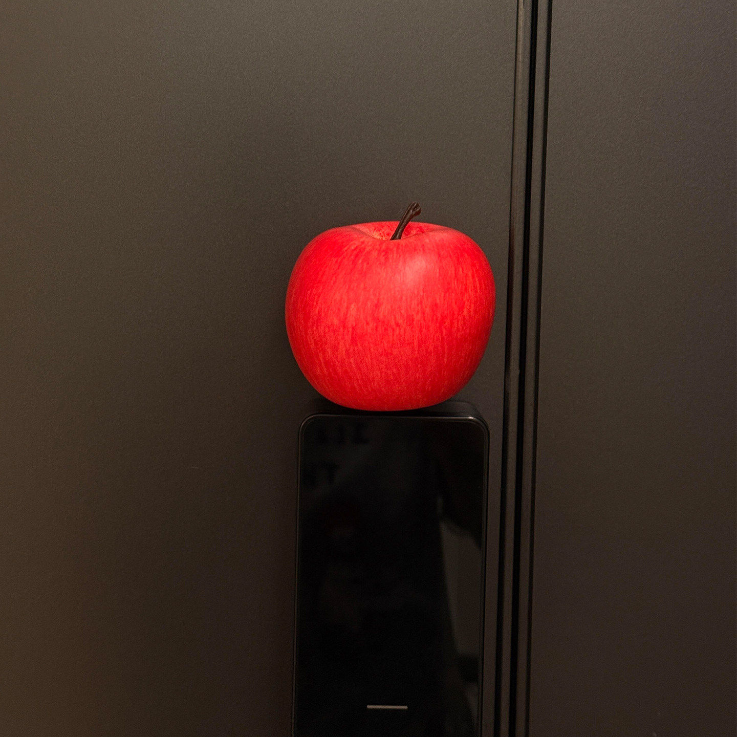 “苹苹安安”入户门装饰磁贴智能门锁磁吸摆件过道玄关创意好物