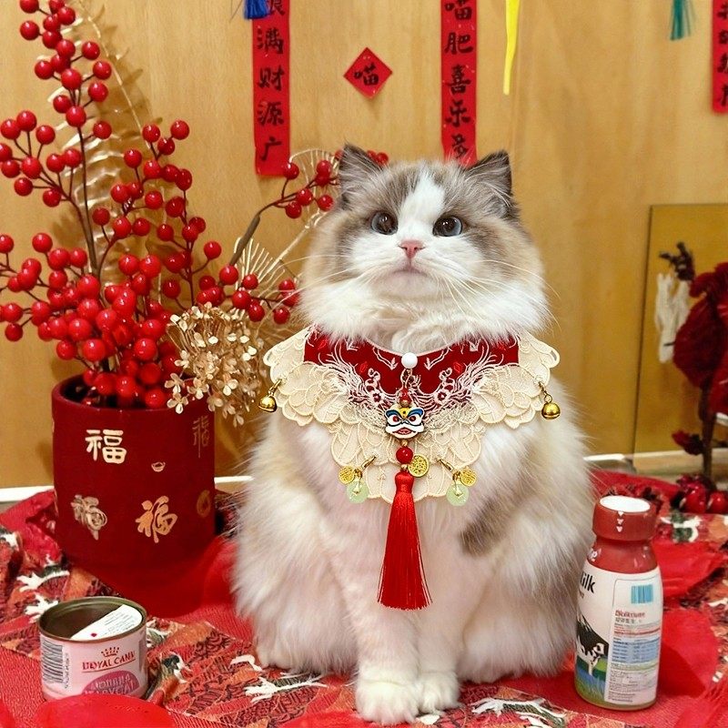 新年猫咪围脖宠物围巾口水巾小配饰小猫围兜过年装扮中国风喜庆,宠物/宠物食品及用品,围巾/口水巾,淘宝优惠券,粉丝福利购,淘宝优惠卷