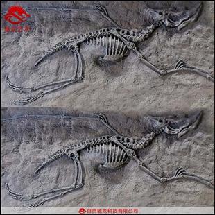 仿真恐龙迅猛龙翼手龙玻璃钢骨架化石室内外儿童沙坑考古恐龙埋藏