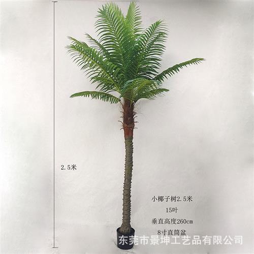 仿真小椰子树仿真美丽针葵树小棕榈树室内外绿植盆栽落地造景装饰