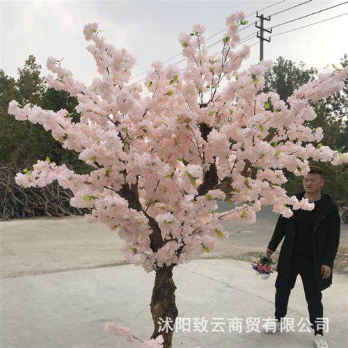 香槟色樱花树婚庆影楼装饰仿真拱门多头仿真花仿真花藤,鲜花速递/花卉仿真/绿植园艺,仿真绿植,淘宝优惠券,粉丝福利购,淘宝优惠卷