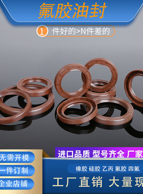 GB/T13871 唇形密封圈 FBTC 氟胶硅胶丁青骨架油封 耐高温 耐腐蚀