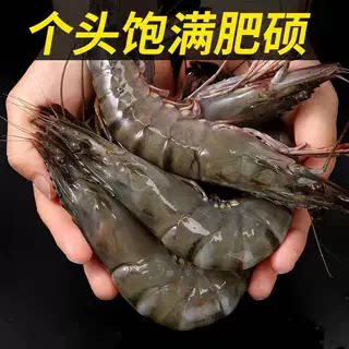 黑虎虾活虾冻虾新鲜黑虎虾