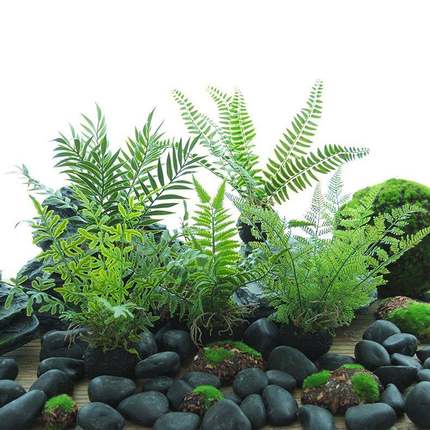 仿真蕨类植物小型盆栽手工假厥树绿植盆景森系造景桌面装饰小盆栽