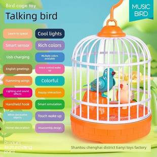 会学人说话的小鸟玩具儿童彷真覆读鸟笼引导宝宝学说话益智男女孩