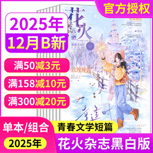 青春文学短篇校园都市言情小说穿越同萱小说爱格飞言情飞魔幻期刊 12月AB 2025年1 花火杂志黑白版
