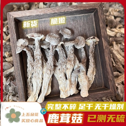 中条鹿茸菇干货250g500g包邮干度好无碎云南特产煲汤食材 - 封面