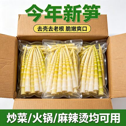 正宗小竹笋手撕竹笋新鲜笋尖新笋手撕笋袋装火锅便宜一整箱10g