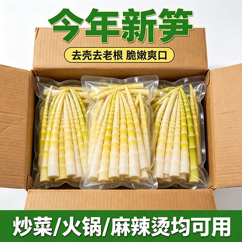 正宗小竹笋手撕竹笋新鲜笋尖新笋手撕笋袋装火锅便宜一整箱10g