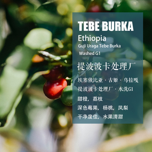 古姬乌拉嘎提波波卡处理厂咖啡豆